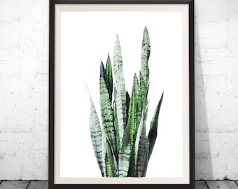 plant art